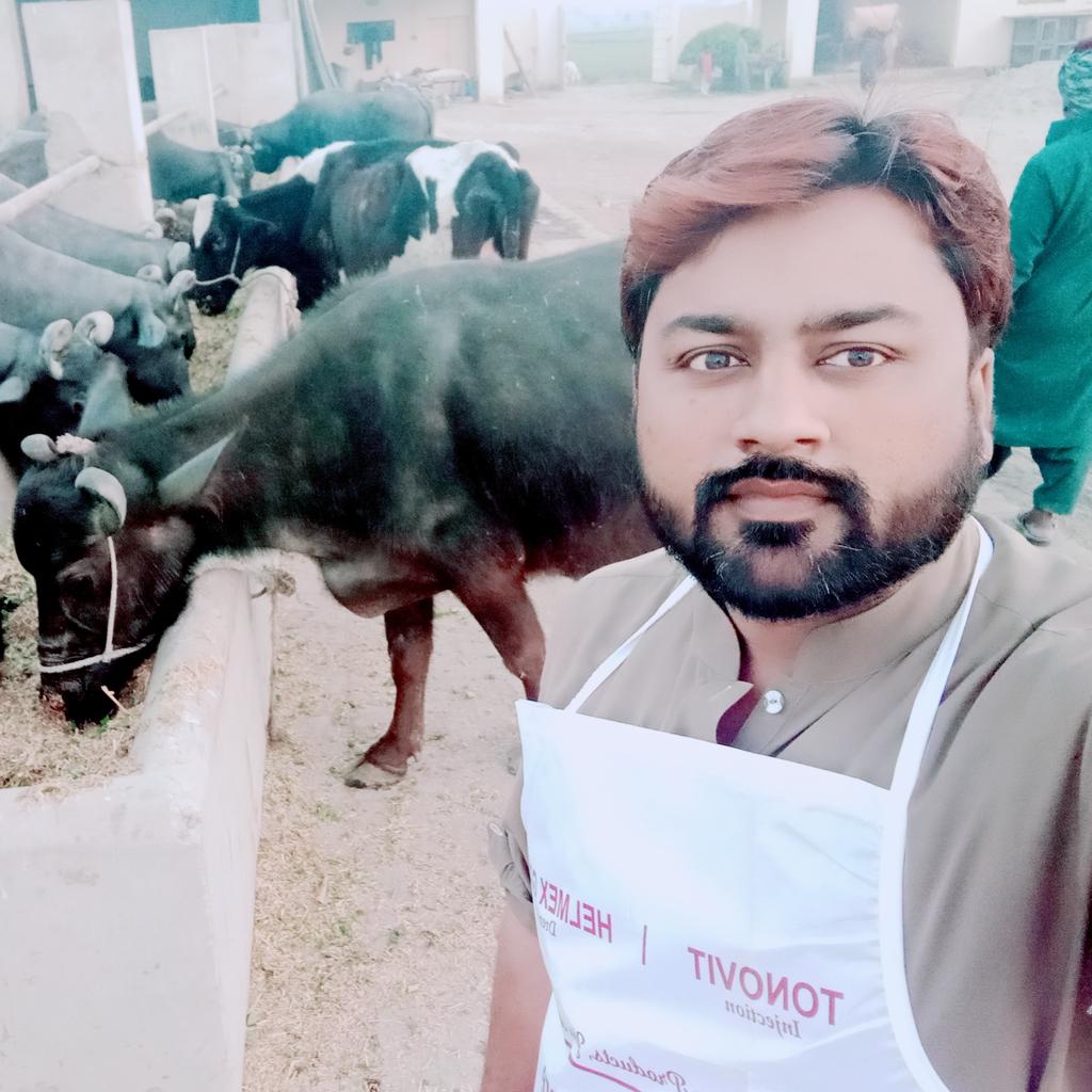 Hasnain_malak's tweet photo. Allocate all SPSC Written Qualified Veterinarian (Poultry and Livestock wing) instead of announcement of 527 new posts of veterinary officers.
#MuradAliShahPPP 
#pitafi_bari 
#BBhuttoZardari https://t.co/NiStJ889IJ