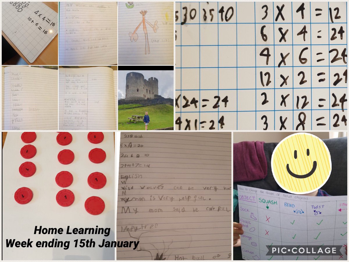 Timbertree YSA tweet media