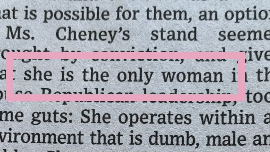 I decided to use pink to highlight this odd and failed support piece for Liz Cheney, a R who decided to impeach her Party's POTUS just a few days before he leaves office.Firstly, Liz Cheney is a woman! Always a logical salvo.