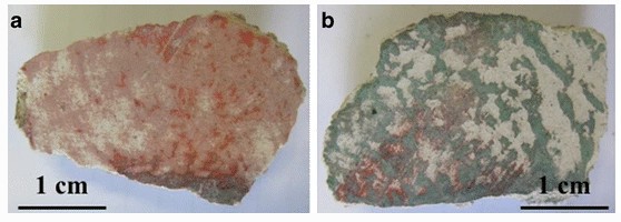 Finally, in the fragments of Villa Imperiale a series of polysaccharides, amino acids compatible with those of cereals and fatty acids were detected, indicating the use of binder based on wheat flour, gums, and oils.  https://link.springer.com/article/10.1007/s00216-012-5746-8?shared-article-renderer