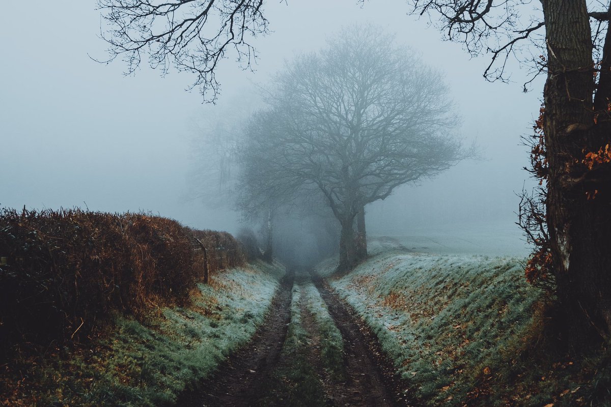 photography by daniel casson