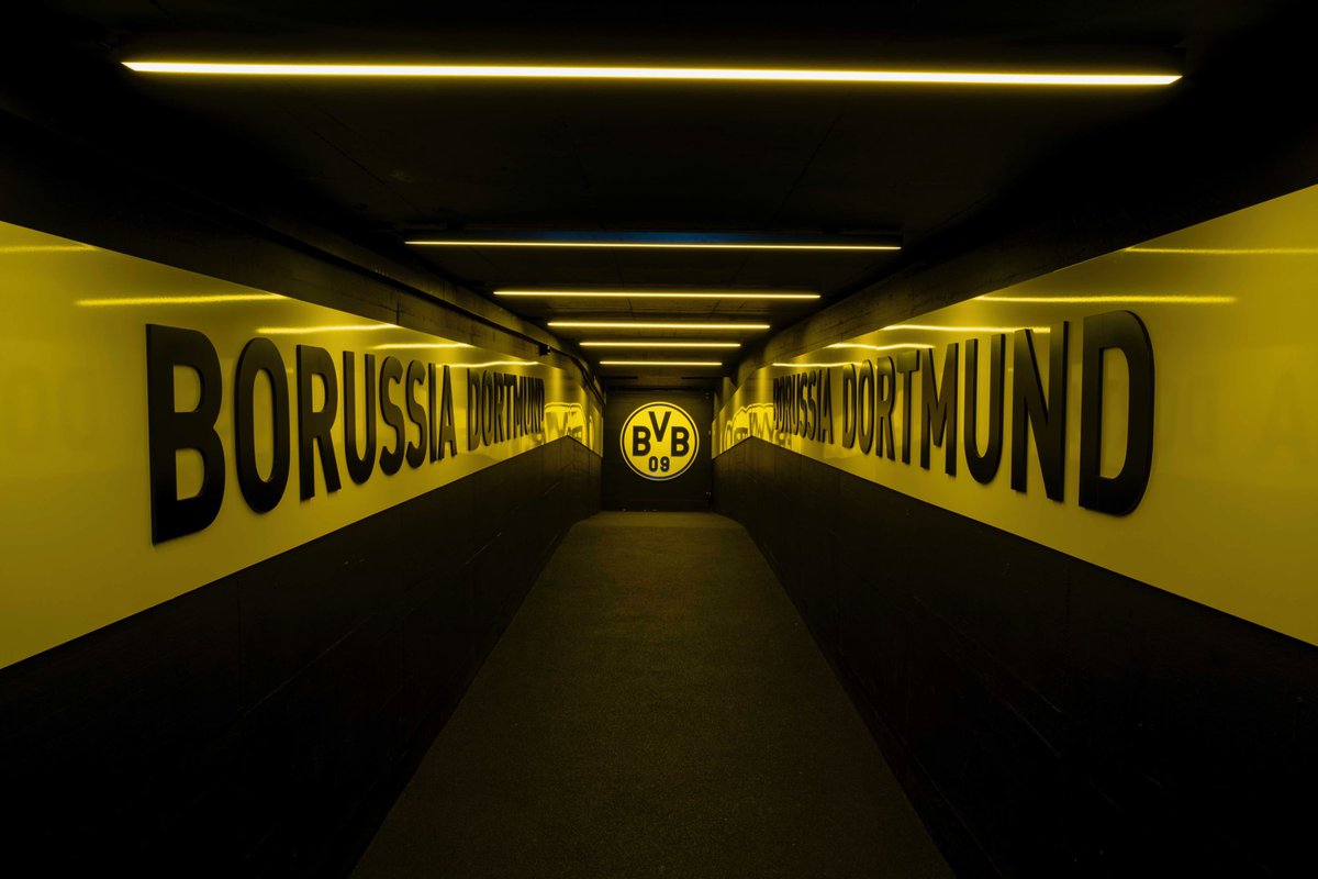 BlackYellow's tweet photo. 🖤💛 https://t.co/2C7bwphlx6
