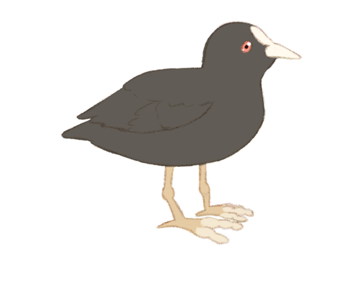 カモのtwitterイラスト検索結果 カモのtwitterイラスト検索結果