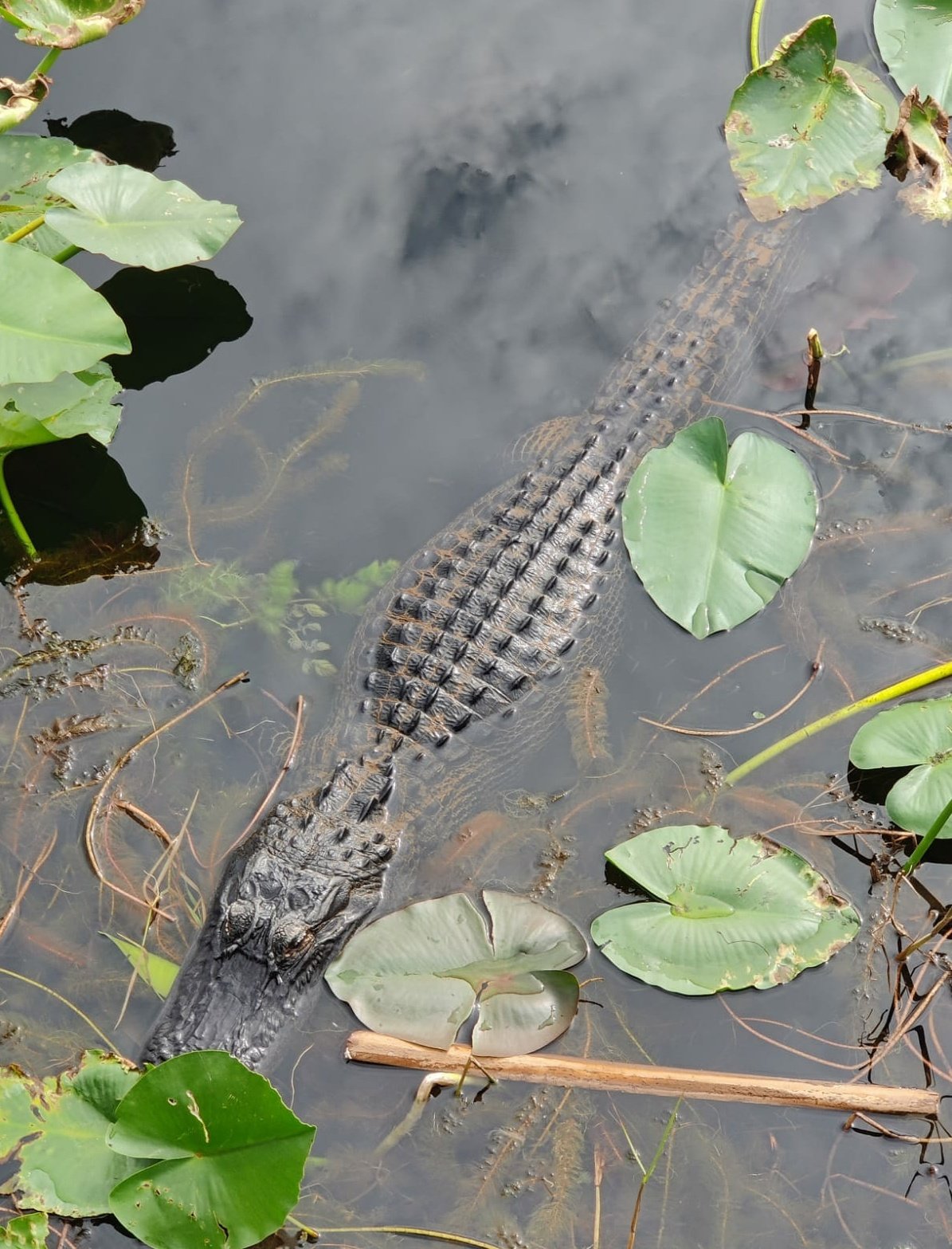 2 pic. Saw some amazing wildlife today! https://t.co/uImvCtZNwH