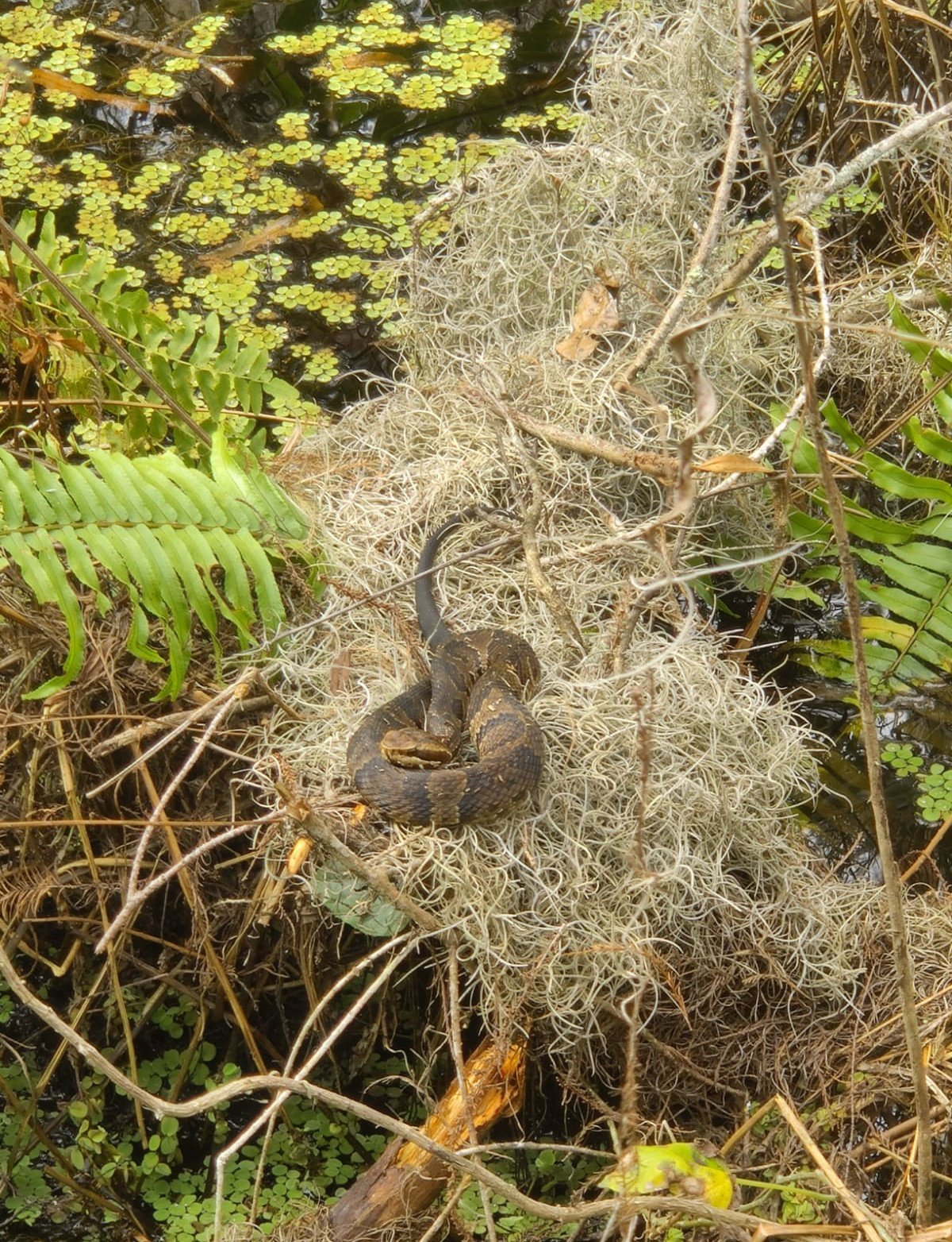 4 pic. Saw some amazing wildlife today! https://t.co/uImvCtZNwH