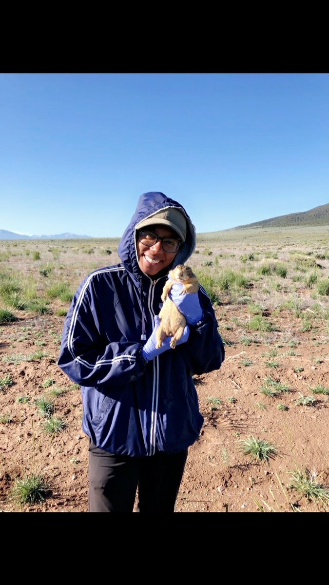 gabby_atkinson9's tweet photo. Hi Twitter World! 🥳 My name is Gabby and I'm a PhD student studying the super adorable Hawaiian honeycreepers! I've also worked with the equally adorable prairie dogs (pdogs). I'm really interested in genetics and disease ecology. I'm excited to connect with other scientists! 😆 https://t.co/YcBXQdq4MZ