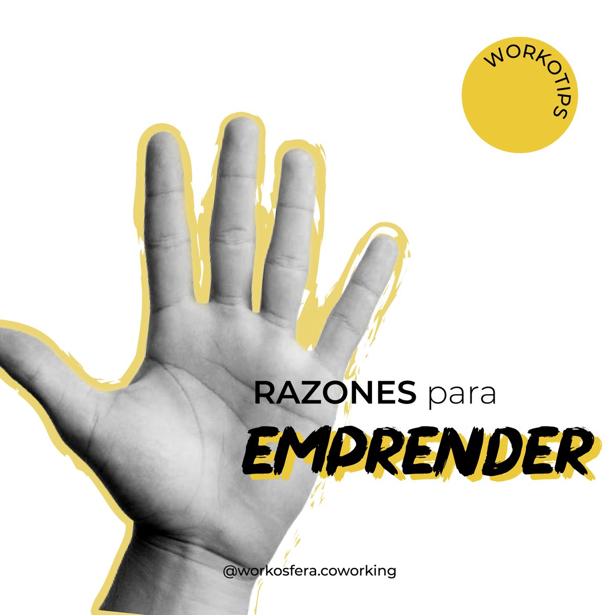 workosfera's tweet photo. Conoce 5 de las razones por las que las personas deciden emprender.

#coworking #workosfera #saladejuntas #emprendimiento⠀ https://t.co/Y5h9Ch54AT