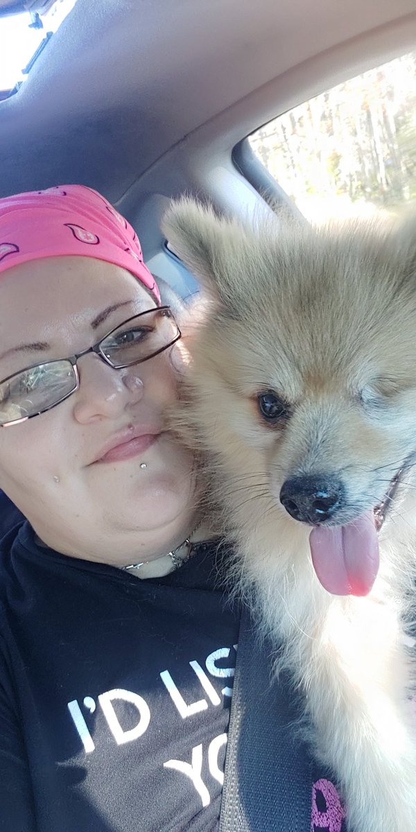 ReneePolmanteer's tweet photo. @JeffreeStar I had a dream that you saw my tweet abt my neighbors dogs killing my Pomeranian and you showed up to my front door with a new furbaby for me :-( It was so vivid 💔 💔 💔 

#RIPGucci
#IMissMyBestFriend
#SecretKeeper
#EmotionalSupportAnimal
#ForeverHeartbroken https://t.co/XaAdpuPPAp