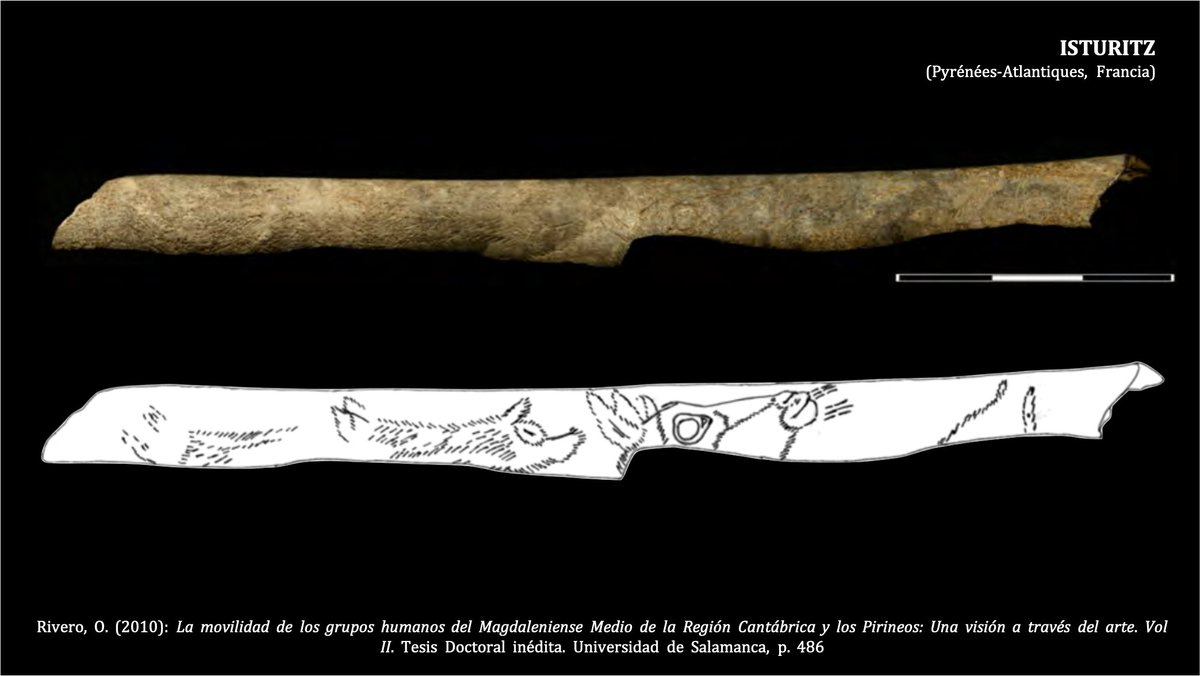 Los convencionalismos más importantes del cáprido son despieces del pelaje , muy minuciosos a partir del Magdaleniense. Estas demarcaciones podrían responder a las variaciones del pelaje del animal dependiendo de las estaciones más cálidas  o frías 
