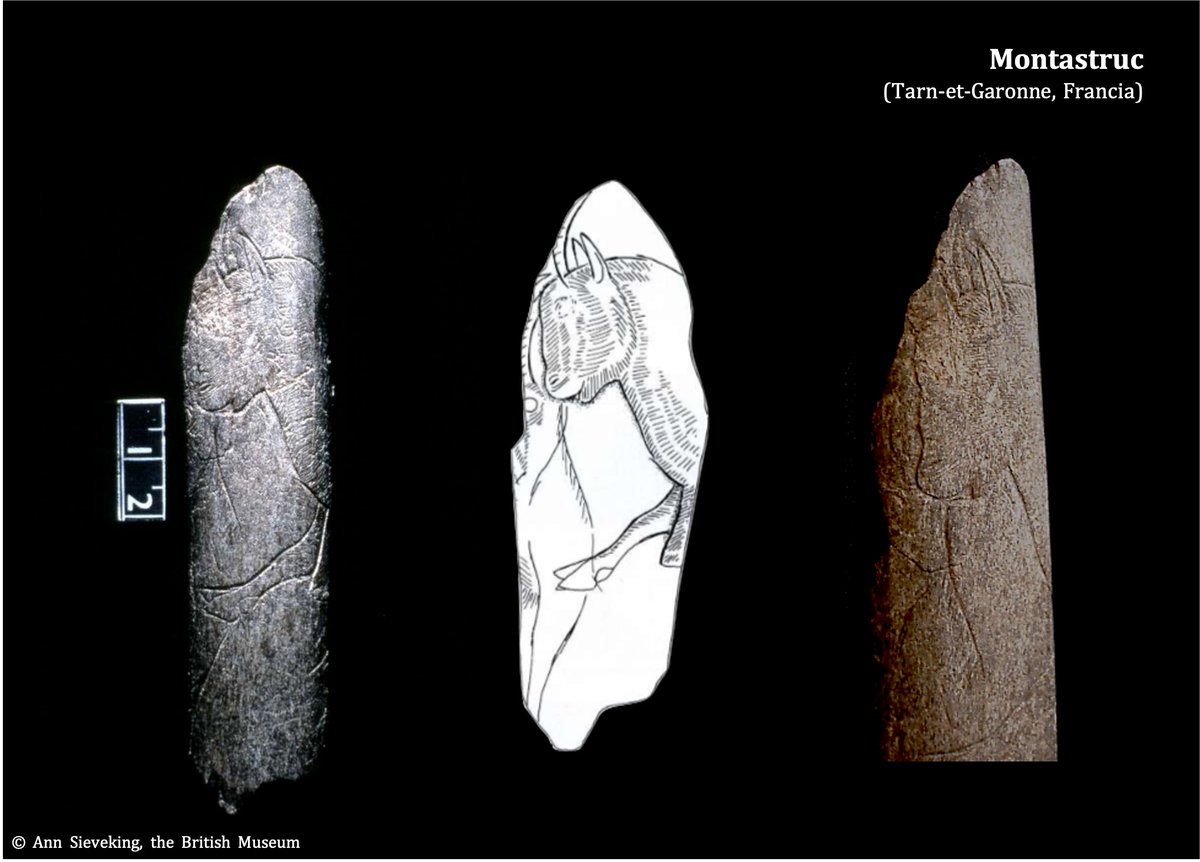 Los convencionalismos más importantes del cáprido son despieces del pelaje , muy minuciosos a partir del Magdaleniense. Estas demarcaciones podrían responder a las variaciones del pelaje del animal dependiendo de las estaciones más cálidas  o frías 