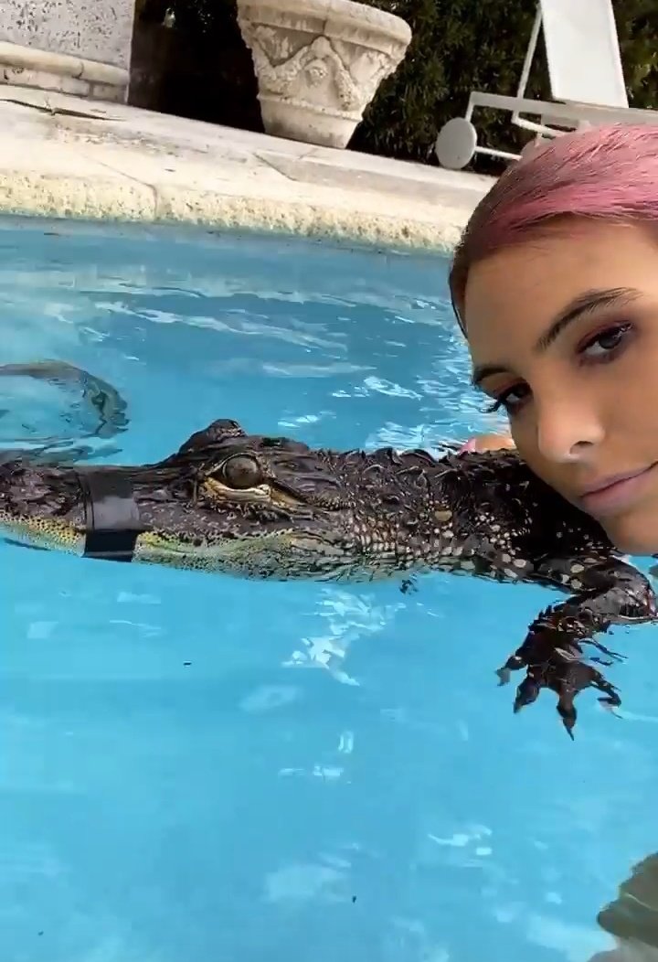 IwtfearIess's tweet photo. ESTO NO ES ENTRETENIMIENTO, ES MALTRATO ANIMAL Y PERSONAS COMO LELE PONS Y STEFANIA ROITMAN LO PUBLICAN EN SUS REDES COMO SI NADA, NI SIQUIERA CONSIDERAN LA CANTIDAD DE SEGUIDORES QUE AMBAS TIENEN. DESPUÉS, CUANDO LES CONVIENE, SE HACEN LAS COMPASIVAS, VÁYANSE A CAGAR. https://t.co/JrfXFDH6M8