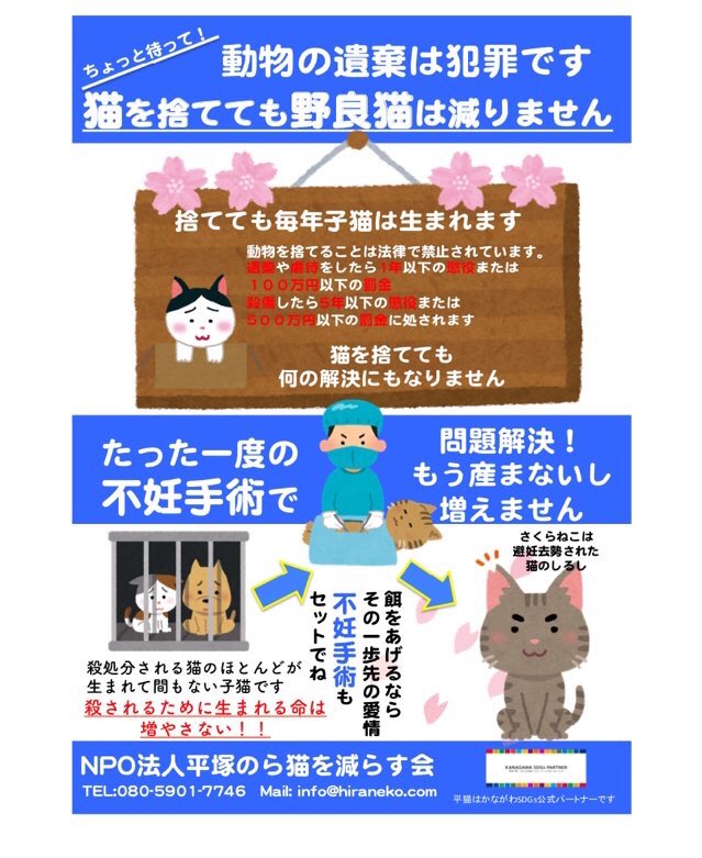 nekotomoclub's tweet photo. なかなかTNRが進まない現場の話も聞きました。お金がない、車がない、捕獲をする人がいない、地域の理解がない。餌やりさんはいっぱい。

地域住民の理解、協力のもとリターンしてお世話できる環境にしていきたいです。できることからはじめよう〜😸
#不幸な命は増やさない https://t.co/VRepP8YwQH