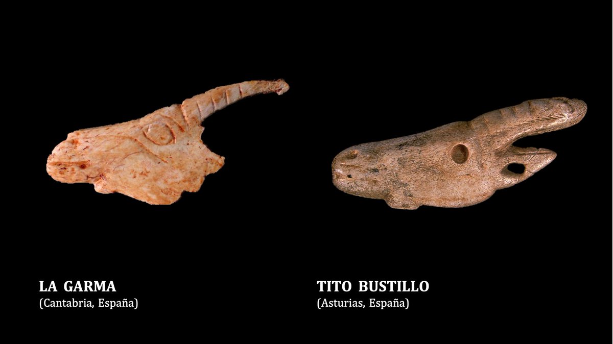 Al igual que en otros animales, los artistas paleolíticos llegaron a ser tan minuciosos  que representaron ojos, pelaje, orejas e incluso anillos de la cornamenta en algunos ejemplares como los de Ekain, Mas d’Azil o Tito Bustillo 