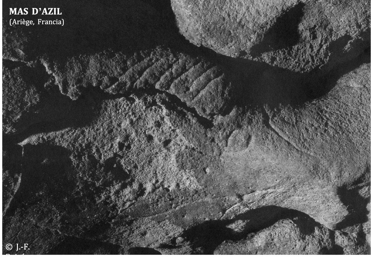 Al igual que en otros animales, los artistas paleolíticos llegaron a ser tan minuciosos  que representaron ojos, pelaje, orejas e incluso anillos de la cornamenta en algunos ejemplares como los de Ekain, Mas d’Azil o Tito Bustillo 