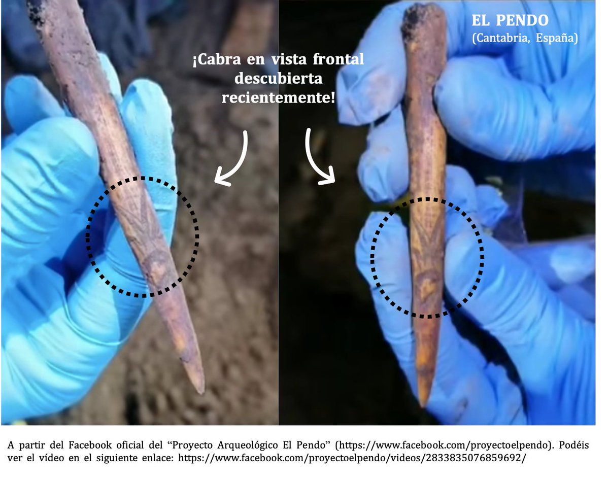 Otro convencionalismo, propio del Magdaleniense superior, es la cabra en visión frontal. Aún apareciendo en yacimientos franceses, es probable que su origen sea cantábrico. De entre todas debemos destacar la cabra de Atxurra a la que se le añadió incluso ojos 