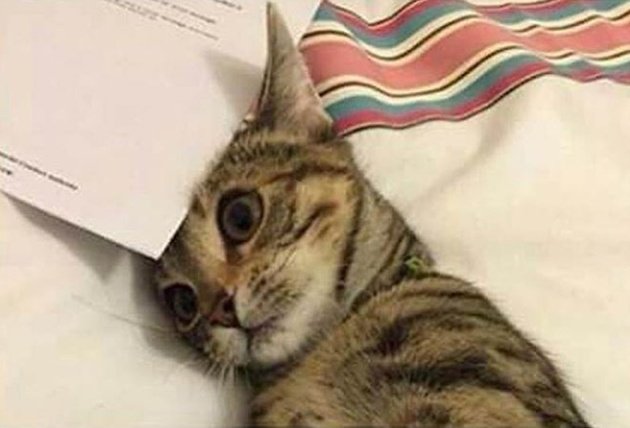 kansaita_'s tweet photo. cuando estás estudiando y de repente te pones a pensar en tu futuro https://t.co/O2hbIfbhNo