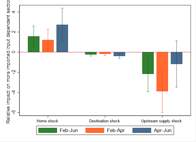They find that YES. Being dependent on foreign inputs means that your exports are relatively vulnerable to shocks from abroad. (That's the RHS bars.) BUT it means you are relatively INSULATED from domestic shocks. (The LHS bars.)