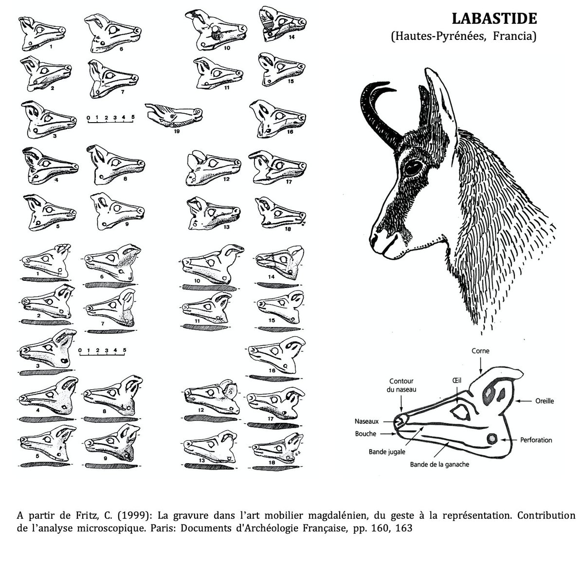 En arte mueble el cáprido tiene un mayor protagonismo ya que aparece en todo tipo de soportes, ya sean o no funcionales . Algunos de los mejores ejemplos son la espátula de La Garma, los contornos recortados de Labastide, la lámpara de la Mouthe o el diente de Mas d’Azil 