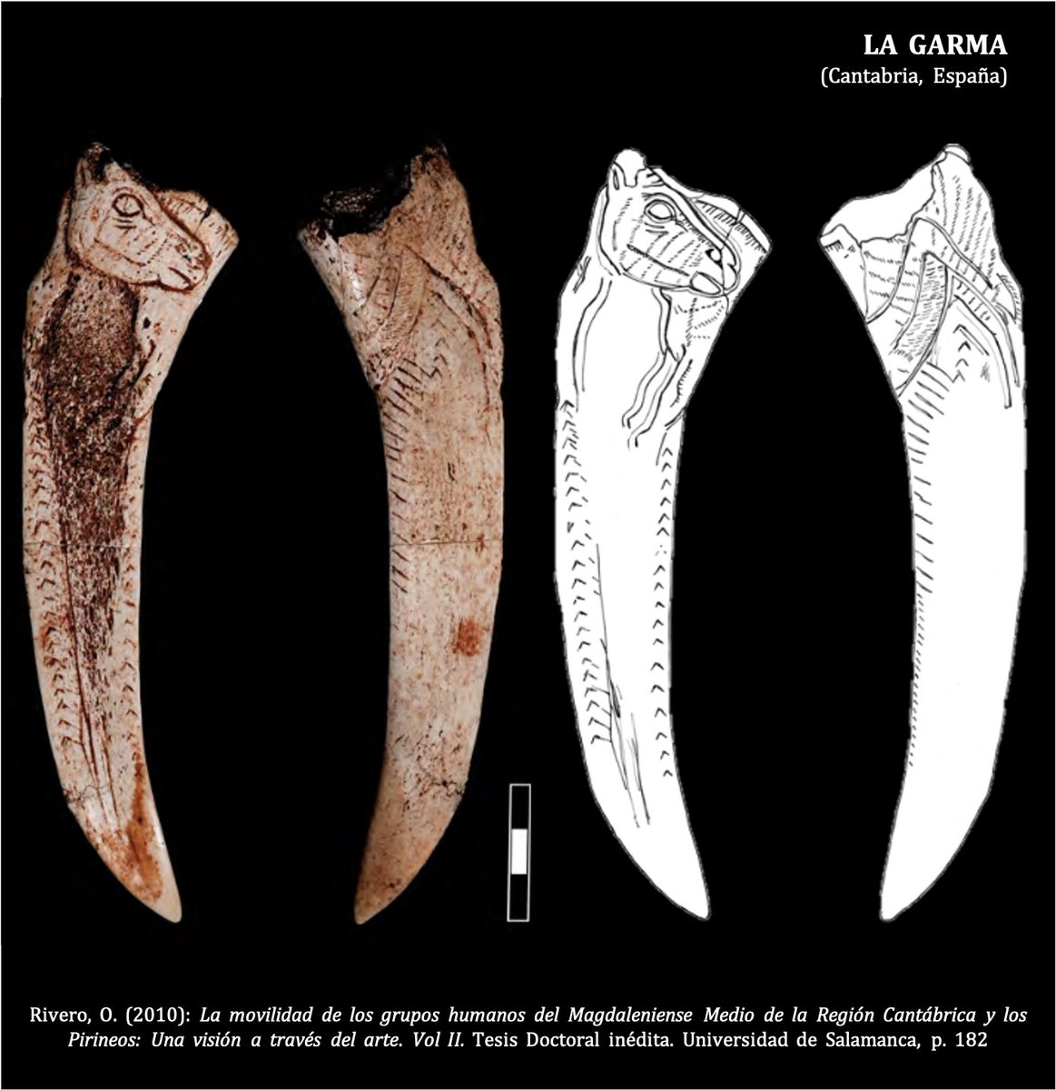 En arte mueble el cáprido tiene un mayor protagonismo ya que aparece en todo tipo de soportes, ya sean o no funcionales . Algunos de los mejores ejemplos son la espátula de La Garma, los contornos recortados de Labastide, la lámpara de la Mouthe o el diente de Mas d’Azil 