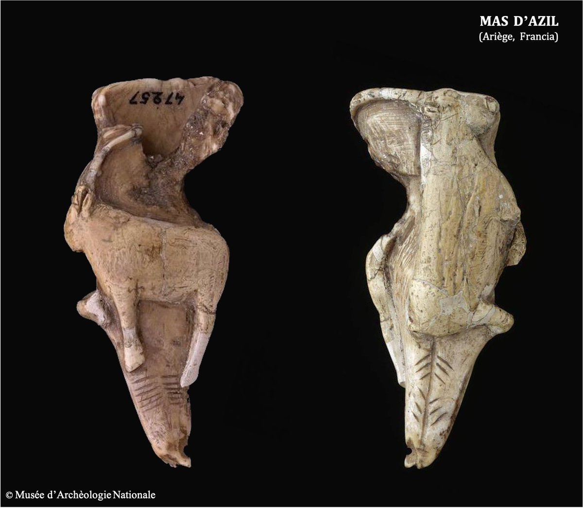 En arte mueble el cáprido tiene un mayor protagonismo ya que aparece en todo tipo de soportes, ya sean o no funcionales . Algunos de los mejores ejemplos son la espátula de La Garma, los contornos recortados de Labastide, la lámpara de la Mouthe o el diente de Mas d’Azil 