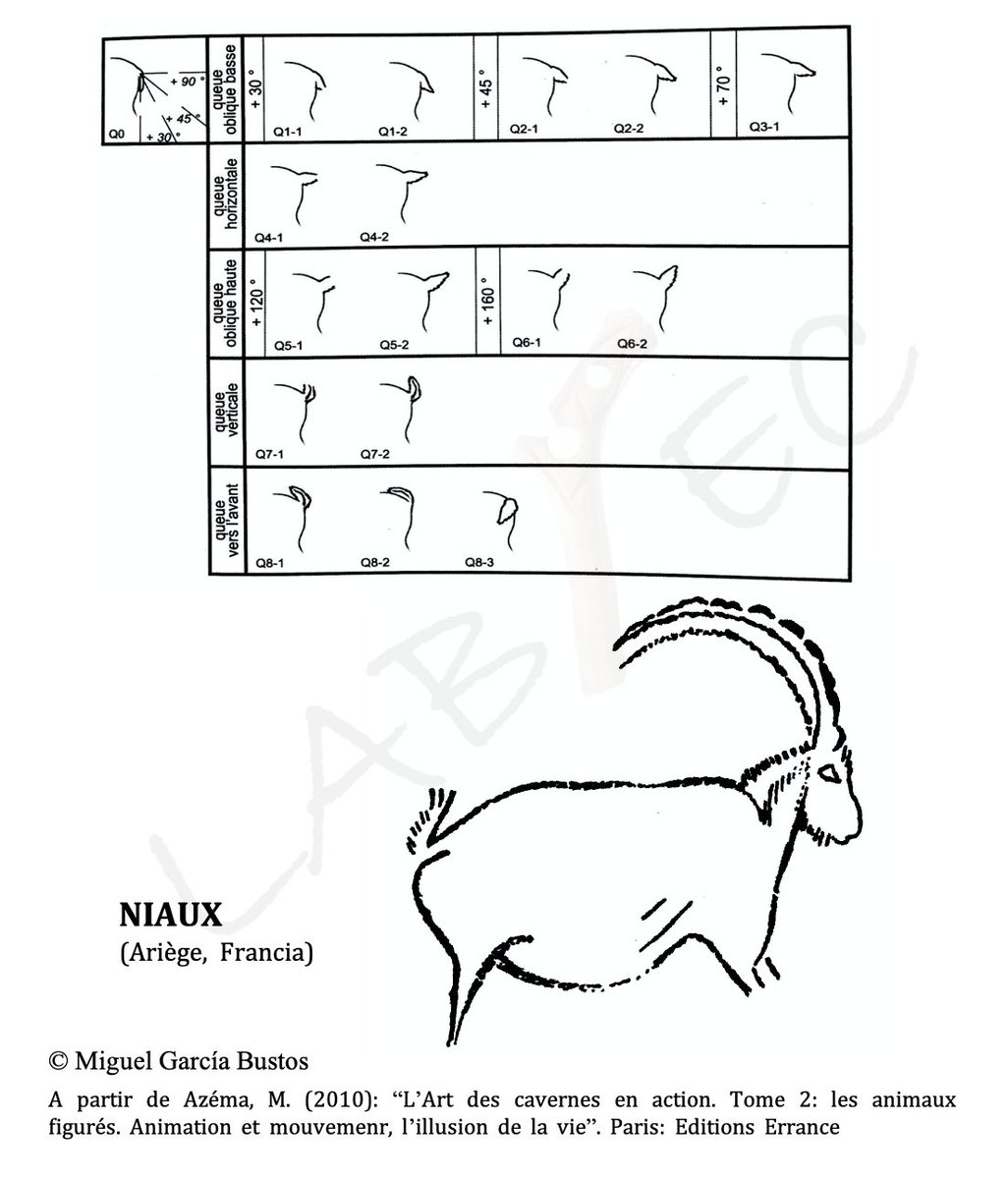 El estudio llevado a cabo por M. Azéma (2010)  indica que hasta un 38% de los cápridos de su corpus tienen animada alguna parte de su cuerpo. La cabeza (91,7%), la cola (62%) y las extremidades (52,9%) son las partes más frecuentes 