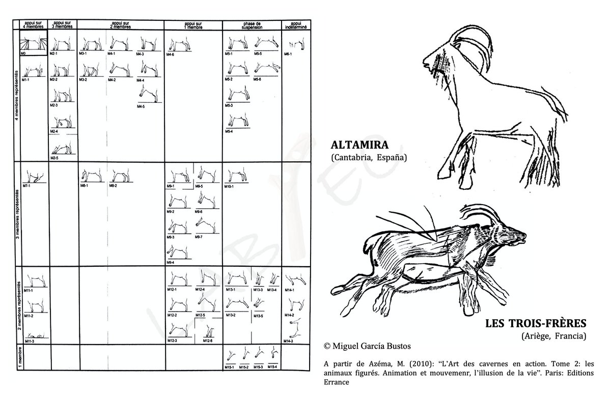 El estudio llevado a cabo por M. Azéma (2010)  indica que hasta un 38% de los cápridos de su corpus tienen animada alguna parte de su cuerpo. La cabeza (91,7%), la cola (62%) y las extremidades (52,9%) son las partes más frecuentes 