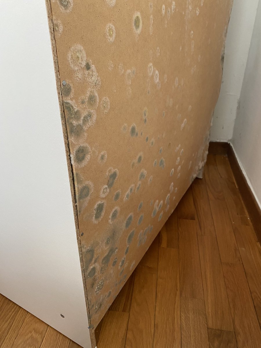 martashine's tweet photo. @Alquilovers ignorando las obligaciones del propietario: “ Garantizar las condiciones necesarias para que la vivienda sea habitable” @territoricat Después de 2 meses reportando humedades y otras incidencias, ya tenemos los muebles podridos... #fondobuitre https://t.co/wgoq9ihiod