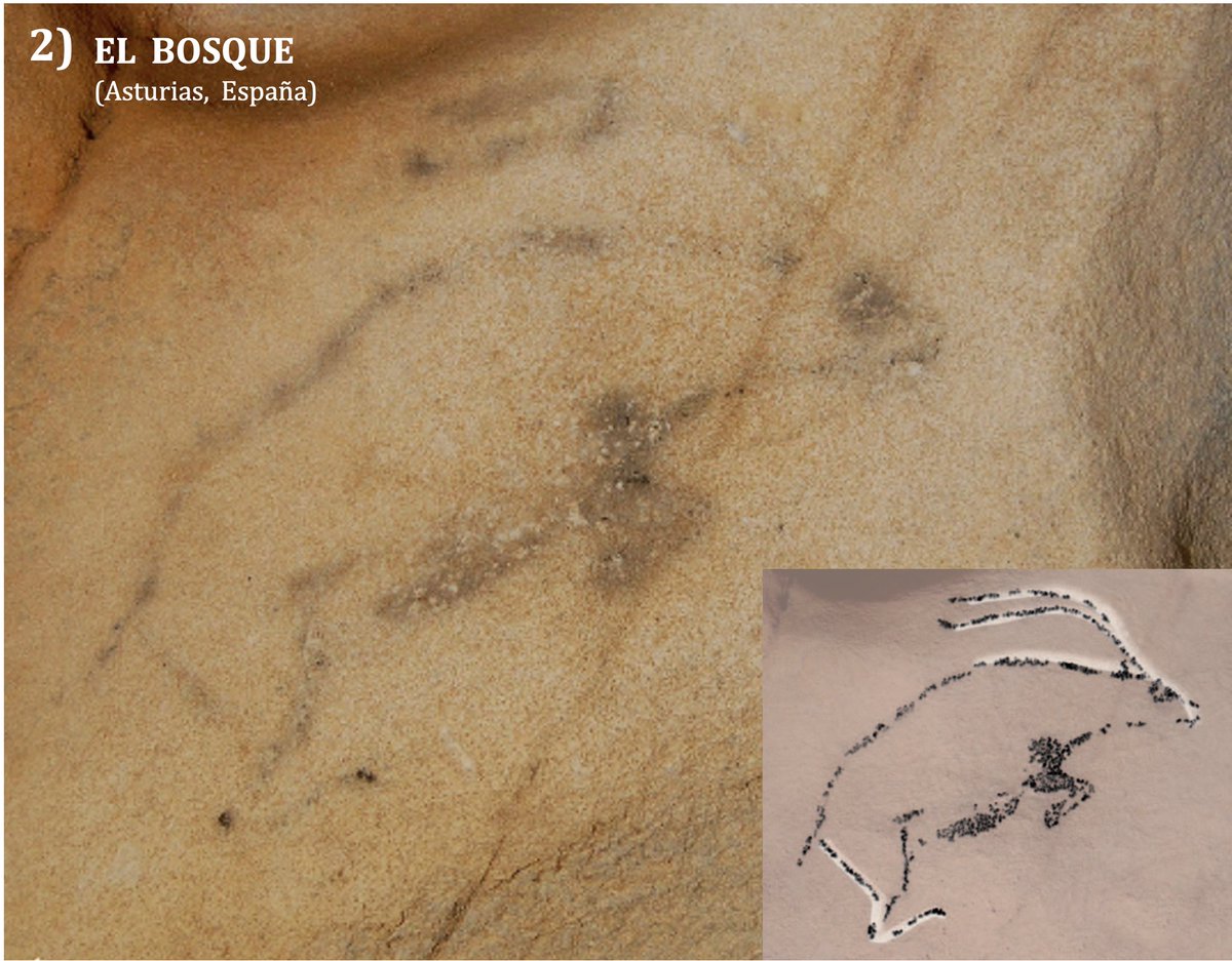 ¡Ahora es tu turno! Cada miembro del Labtec ha seleccionado su cáprido favorito, ¿cuál prefieres tú? También puedes dejarnos qué otros ejemplares son vuestros preferidos  