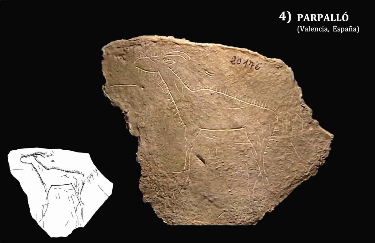 ¡Ahora es tu turno! Cada miembro del Labtec ha seleccionado su cáprido favorito, ¿cuál prefieres tú? También puedes dejarnos qué otros ejemplares son vuestros preferidos  