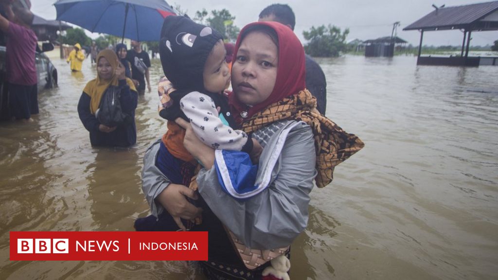 Berkurangnya area hutan primer dan sekunder 'picu' banjir terbesar di Kalimantan Selatan. bbc.in/39FGgf0