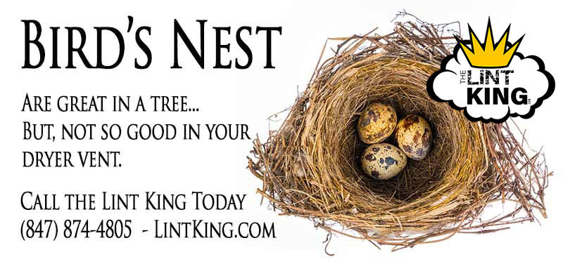 TheLintKing's tweet photo. TLK #058 π A bird's nest in your vent causes a buildup inside the ductwork from the π¦ bird's nest back to the vents of your clothes dryer, bathroom, or kitchen. A nest can also cause damage to the appliance. Visit https://t.co/vIEaIzthqP #BirdRemoval #NestRemoval #BirdCovers https://t.co/VpP0YHKDdW