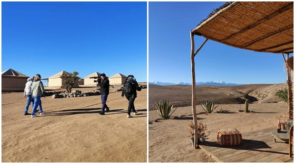 Amplitudes tweet media