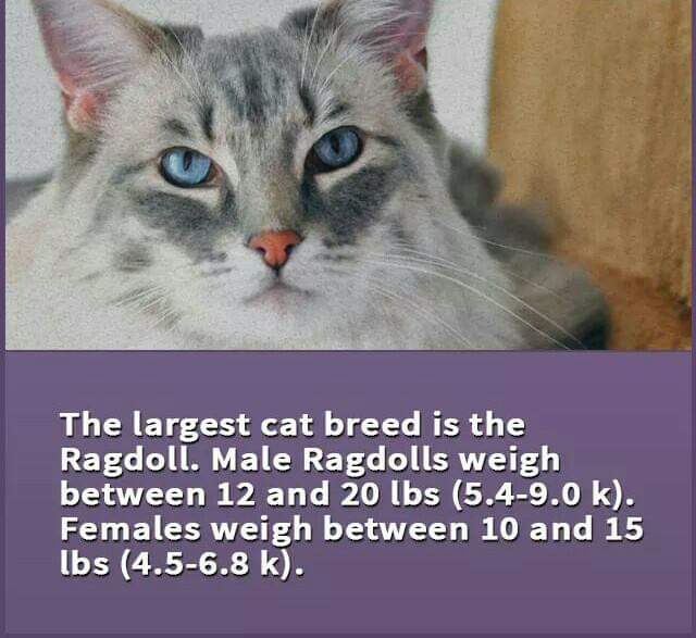 DrsajidHussai19's tweet photo. #AppointAllSpscWrittenQualifiedVeterinarian https://t.co/4UOu7Bpyap