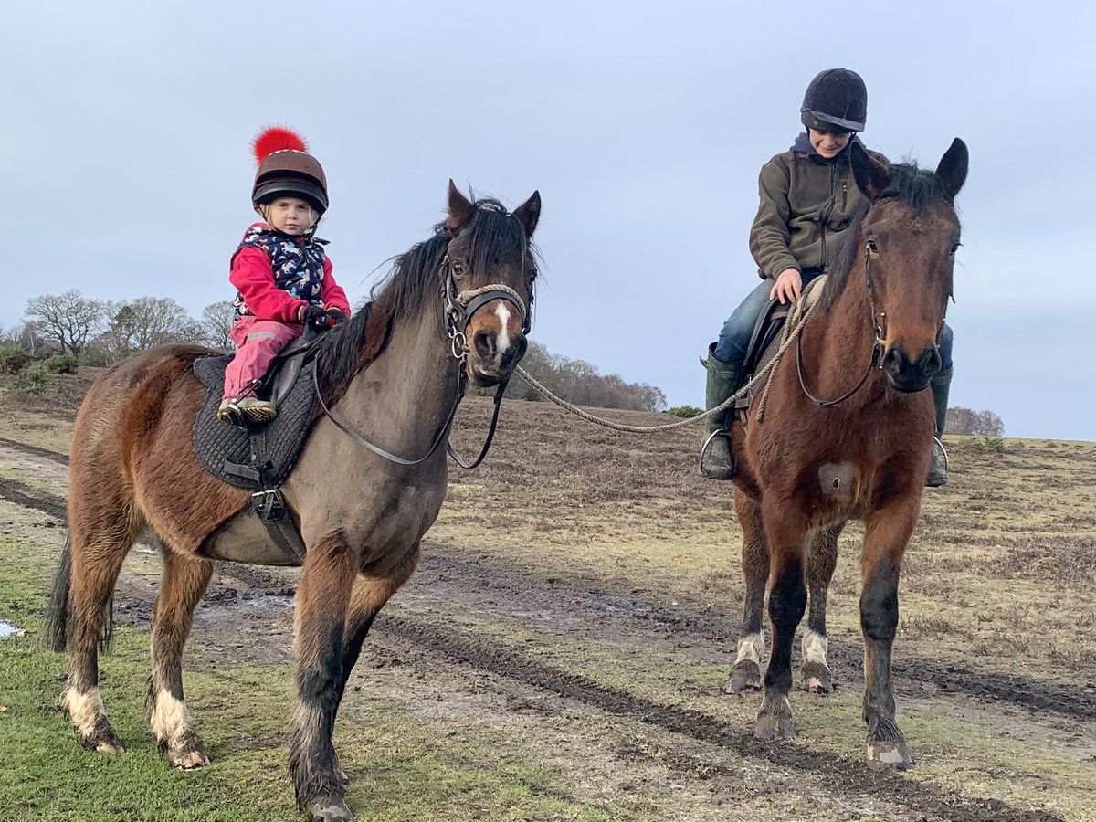 Erika Dovey tweet media