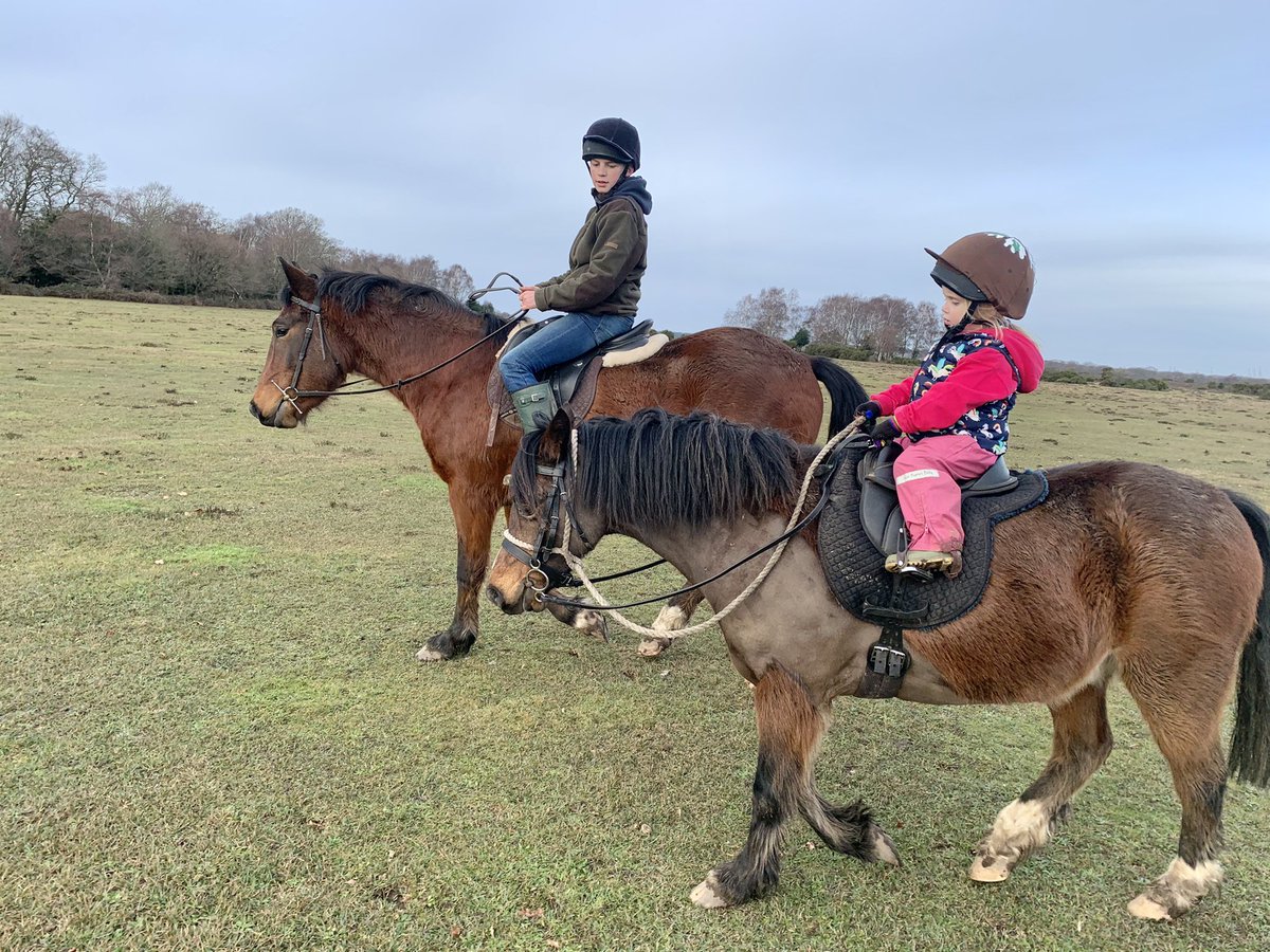 #dailyexercise for these #youngcommoners this afternoon best way to get around 🐴 and see the beautiful landscape , close to our home #newforest #newforestpony #staylocal  #statsafe #bekind 💕