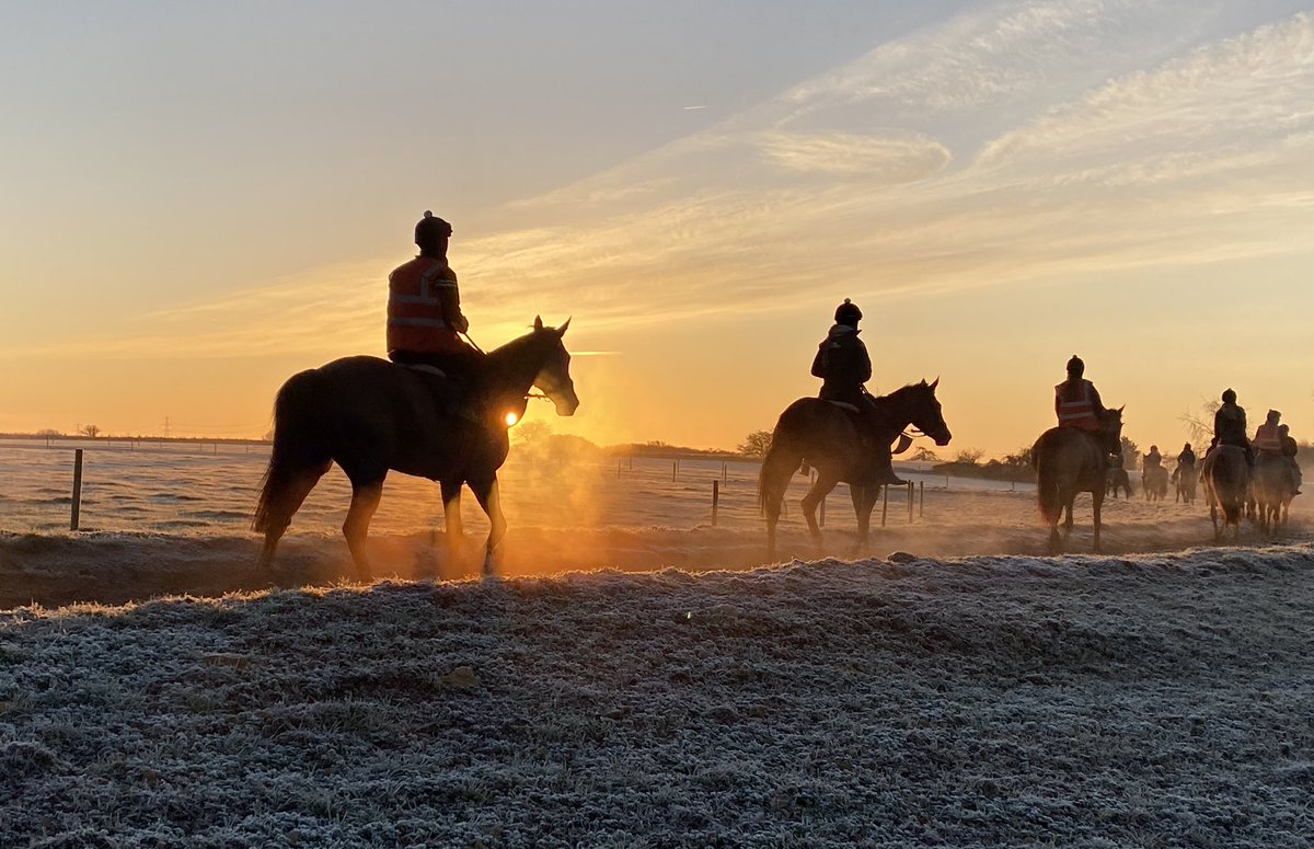 We’re pushing on towards 36K followers now. You definitely know someone who isn’t following us, so give them a nudge please #TeamFOB