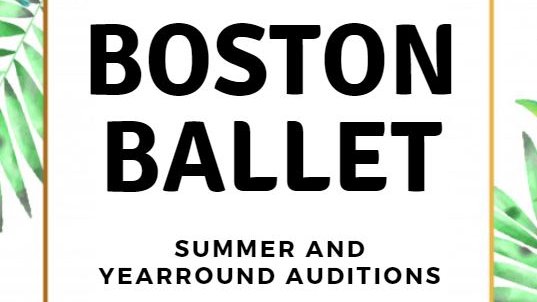 Ballet Auditions tweet media