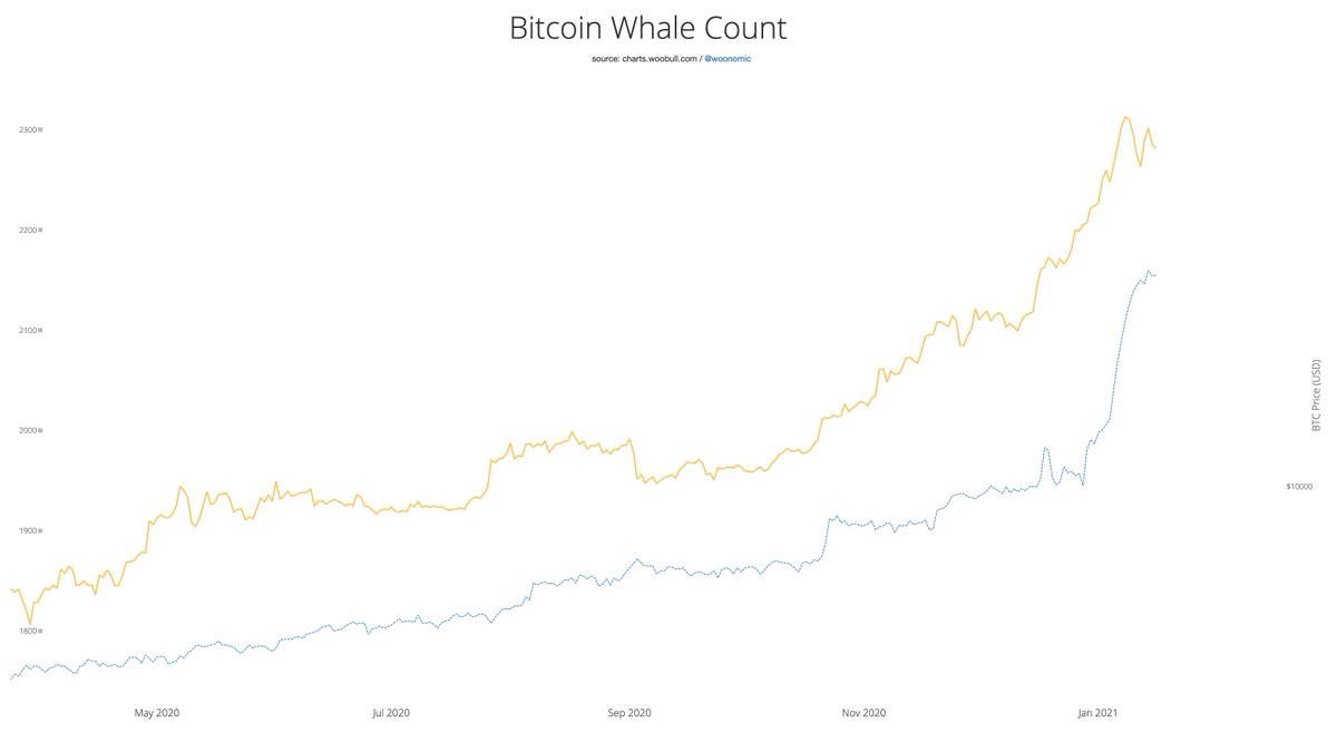 Many are expecting a blow off top, I very much doubt this, there's far too much money coming in from strong HODLers. We're just shaking out the weak hands we collected along the way.This rally has been a whale pump (strong hands). Whales come early in a bull cycle.