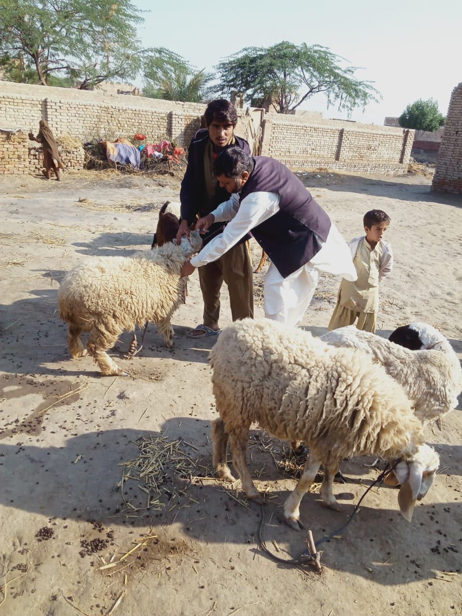 DrsajidHussai19's tweet photo. #AppointAllSpscWrittenQualifiedVeterinarian https://t.co/uNl91k6WNb