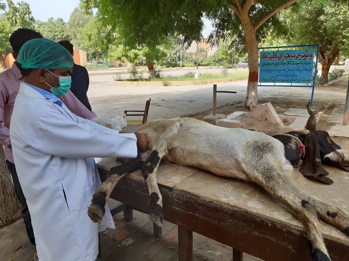 DrsajidHussai19's tweet photo. #AppointAllSpscWrittenQualifiedVeterinarian https://t.co/iphnF5zFMY