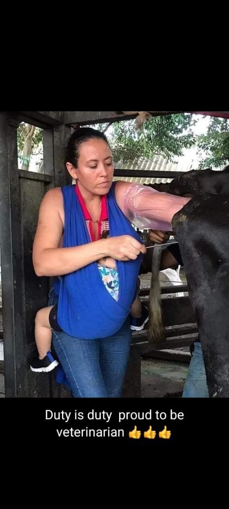 DrsajidHussai19's tweet photo. #AppointAllSpscWrittenQualifiedVeterinarian https://t.co/NylAu1ULgz