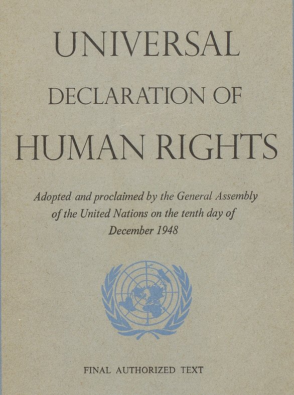 From the moment when Universal Declaration of Human Rights has been signed in 1948 in response to Nazi atrocities, human rights are being used to extend American global reach.By condemning Amnesty International, Human Rights Watch and other human rights groups[3]