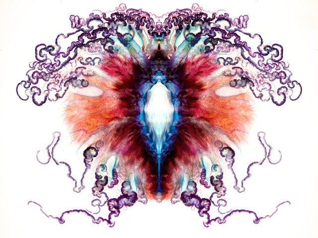 Resimde ilk gördüğünüz şeyi yazarmısınız?