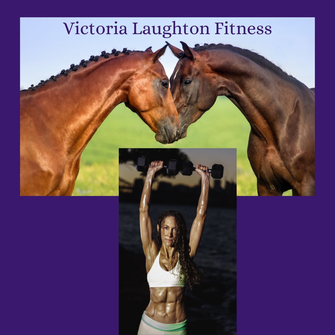VictoriaFitPer1's tweet photo. Hi, let me introduce myself. My names Victoria. From a young age have always had a passion for fitness and horses. Equestrian disciplines including competitive horse riding, eventing, dressage, show jumping and cross country and discovered my passion for Freestyle Dressage. https://t.co/nkfATBEuqU