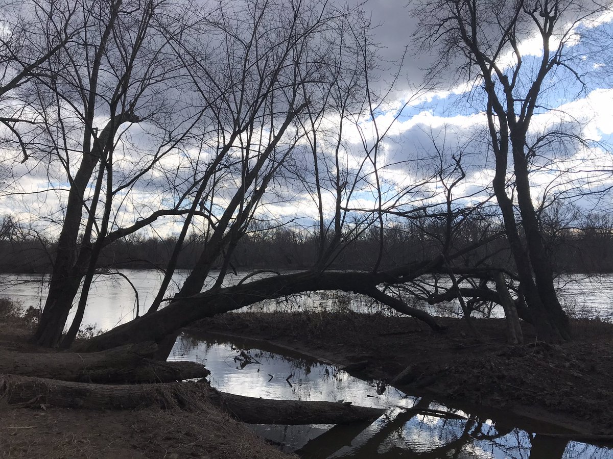 McDTimJ's tweet photo. So close to home and so beautiful... #PennyfieldLock @COcanalNPS @NatlParkService @TheMoCoShow @capitalweather https://t.co/lvHDIsXCzz