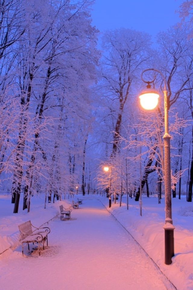 _Karhutar_ tweet picture