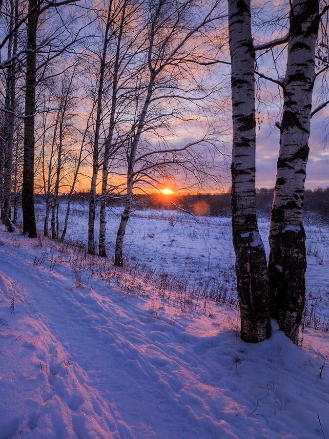 🌌ЯНВАРСКАЯ ЦЕПОЧКА ТВИТТЕРСКИХ 2.0🌌

                 🌌с тебя:

🌌читай меня (#взаимно)

🌌делай ретвит

🌌читай ретвитнувших

🌌будь взаимным

🌌не забывай тепло одеваться и береги своё здоровье 

*шутка про 0 рт на удачу*

#ЦепочкаФолловеров
#ЦепочкаТвиттерских