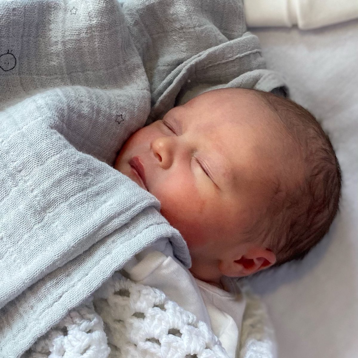 Will Torrent tweet media