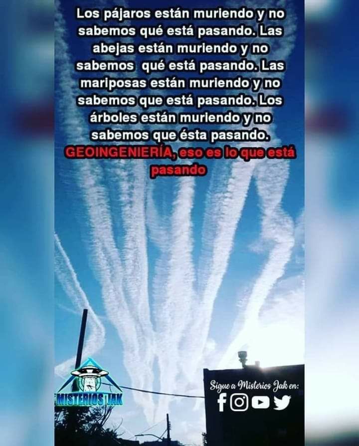 LadyTronka's tweet photo. #elpueblodespierta https://t.co/gDAlggPMoA