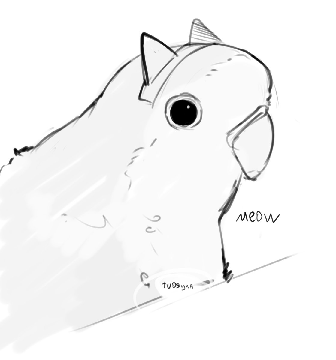 TVOS20025191's tweet photo. Recently, I have most often drawn cats🐾 https://t.co/5sQhgp0dvh